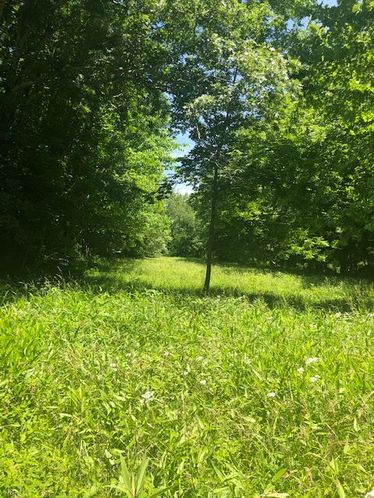 1915 Mount Zion Rd, Frankfort, KY 40601